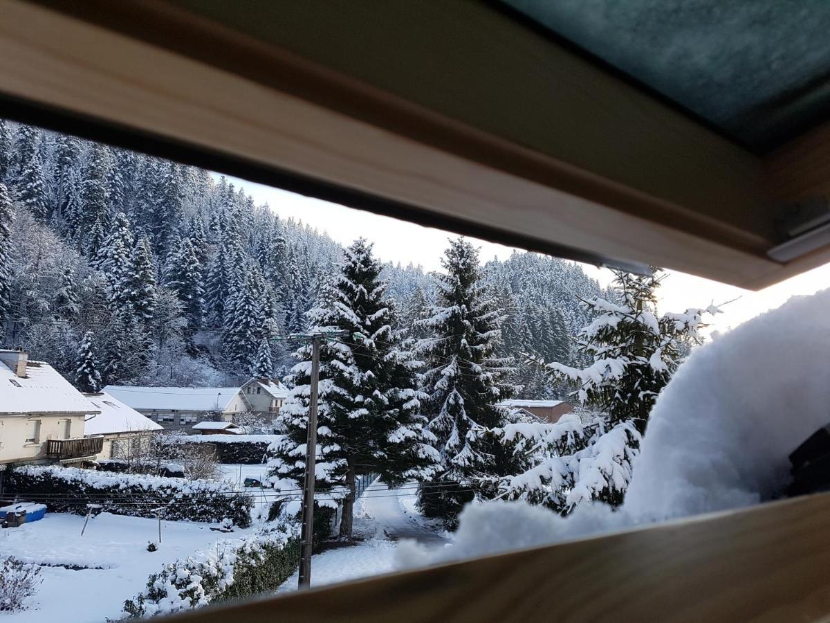 Apartament Le Petit Kichon Gérardmer Zewnętrze zdjęcie