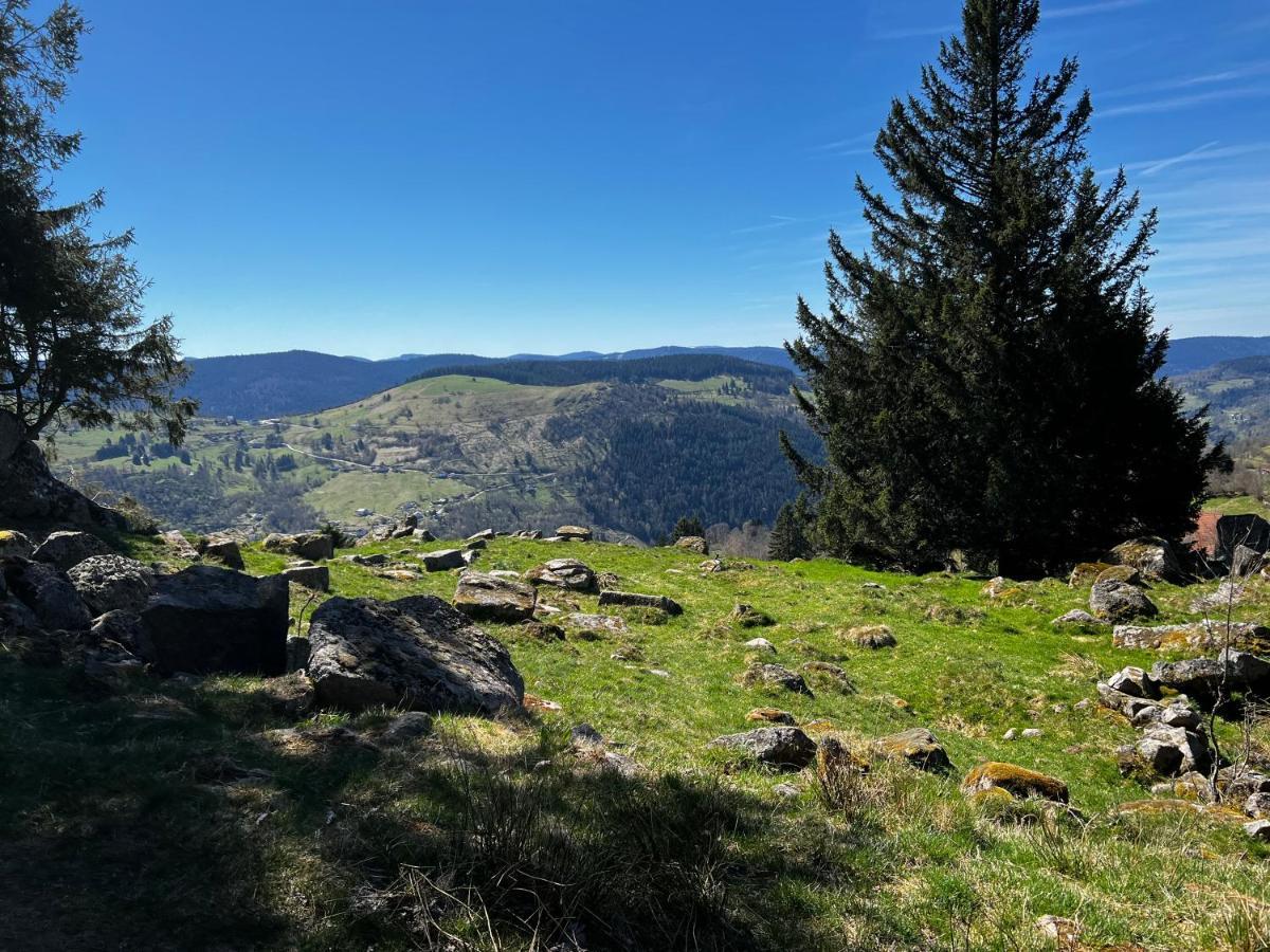 Apartament Le Petit Kichon Gérardmer Zewnętrze zdjęcie
